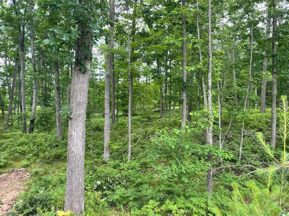 W School Rd, Roscommon, MI 48653