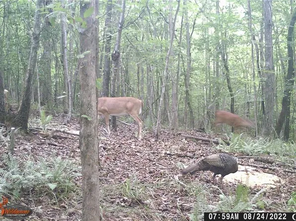 LOT 40 Granite Rock Dr #40, Denton, NC 27239