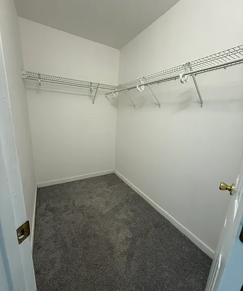 3006 Silverbush Ct #3006 — Photo 8