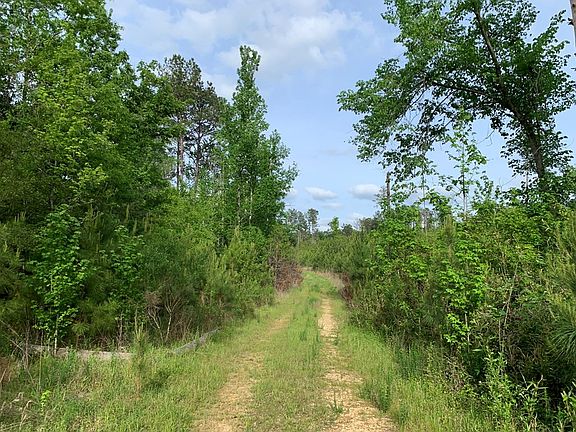 3rd image of Macedonia Rd