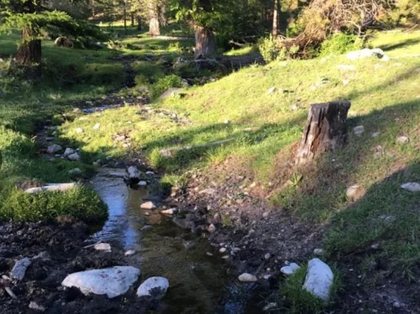 153 W High Country Dr, Tonasket, WA 98855