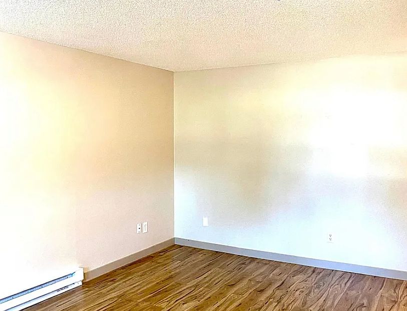Large living space, new flooring and paint through out
