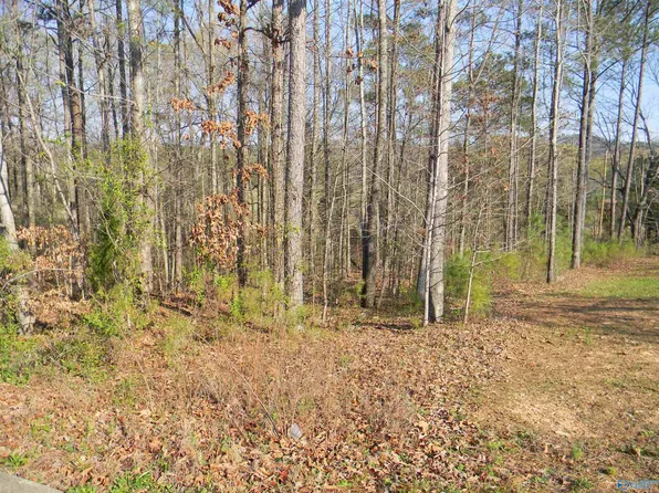 LOT 13 Cade Cir, Leesburg, AL 35983