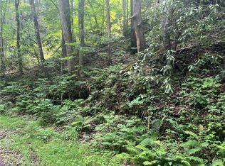 Tbd Lee Mountain Rd, Ferguson, NC 28624