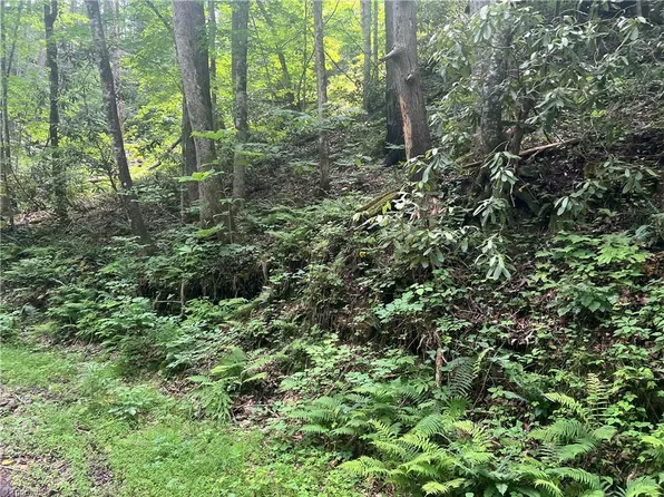 Tbd Lee Mountain Rd, Ferguson, NC 28624