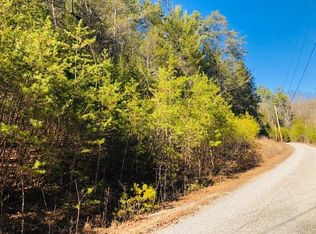0 Jones Cove Rd, Sevierville, TN 37876