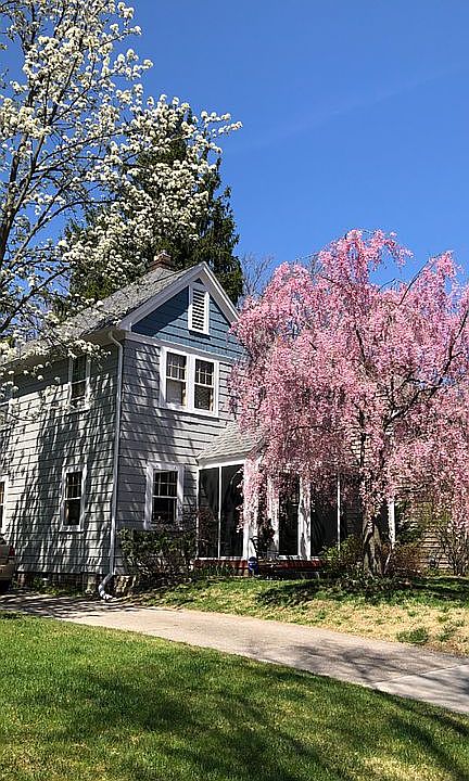 Charming Old Orchard 