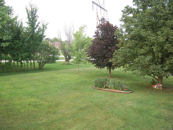 view from the back deck