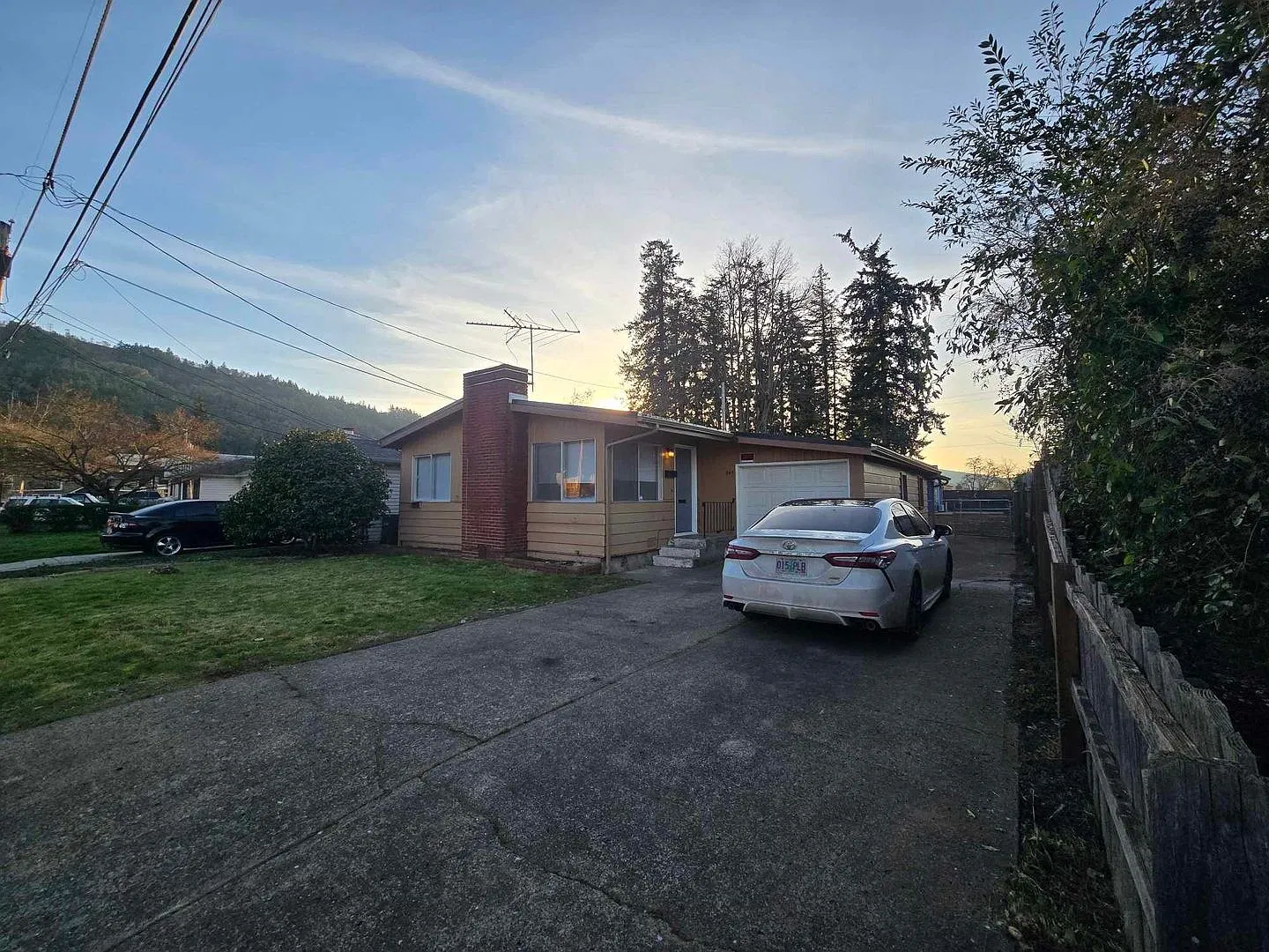 BZ-0000 540 Ballf / 537 Fir — Photo 2