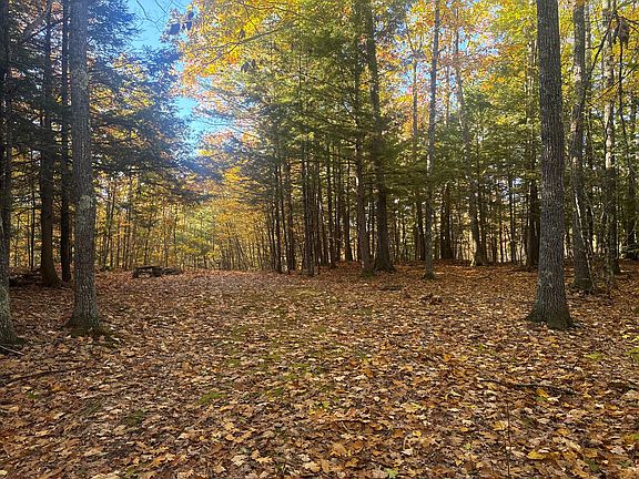 3rd image of 0 Cain Line Road