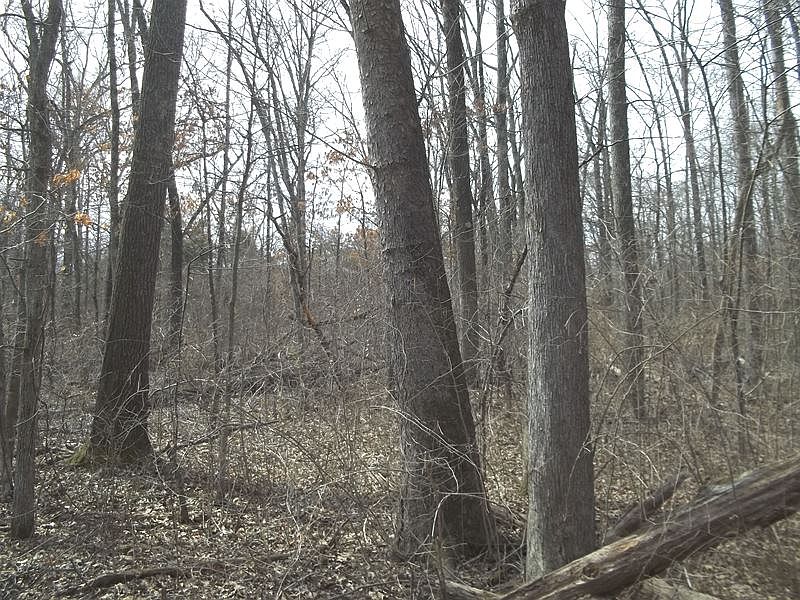2nd image of Fairview Rd