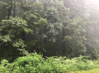 0 Burnt Mountain Rd LOT 5, Ellijay, GA 30536