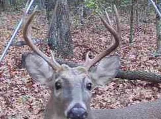 (Undisclosed Address), Bradford, AR 72020