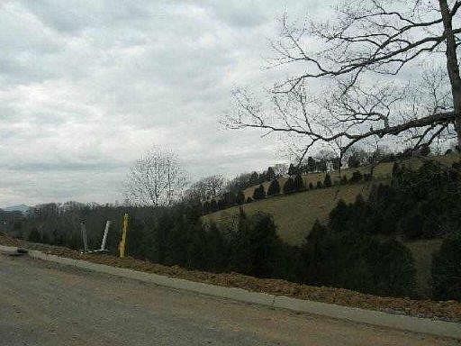 1st image of LOT 20 Alley Ln