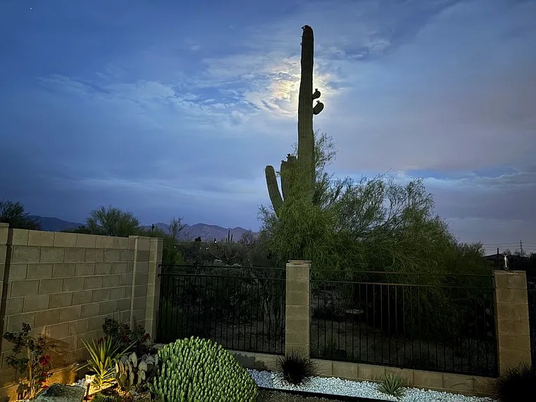 12108 N Golden Mirror Dr — Photo 30