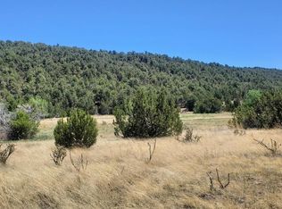 70 Vidalia Rd W, Edgewood, NM 87015