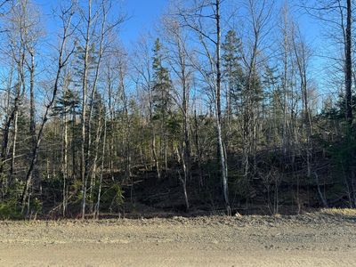 0 Young Lake Road, Westfield, ME, 04787