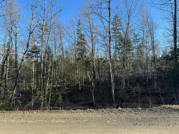 0 Young Lake Road, Westfield, ME 04787