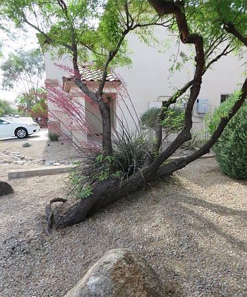 Front Yard & On A Cul-De-Sac!