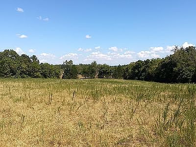 3rd image of County Road 214 Box 2-567