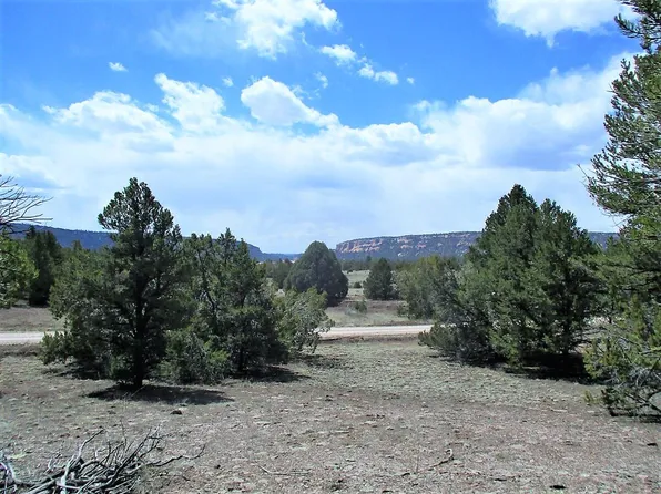 29 Sunflower Dr, Ramah, NM 87321