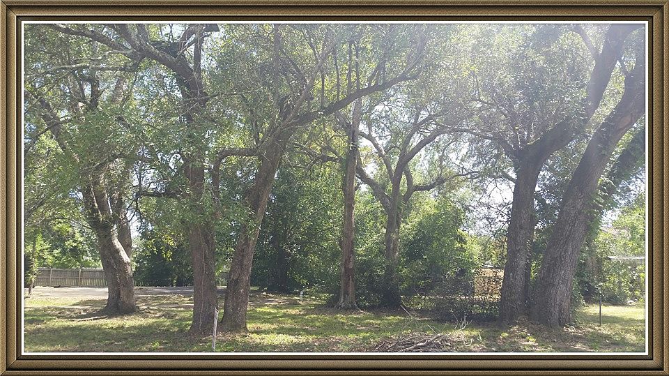 1st image of 10420 Live Oak Dr