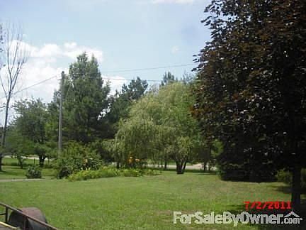 A view from the porch
						:
						1 of 3 crimson leaf (black leaf) maples shown
