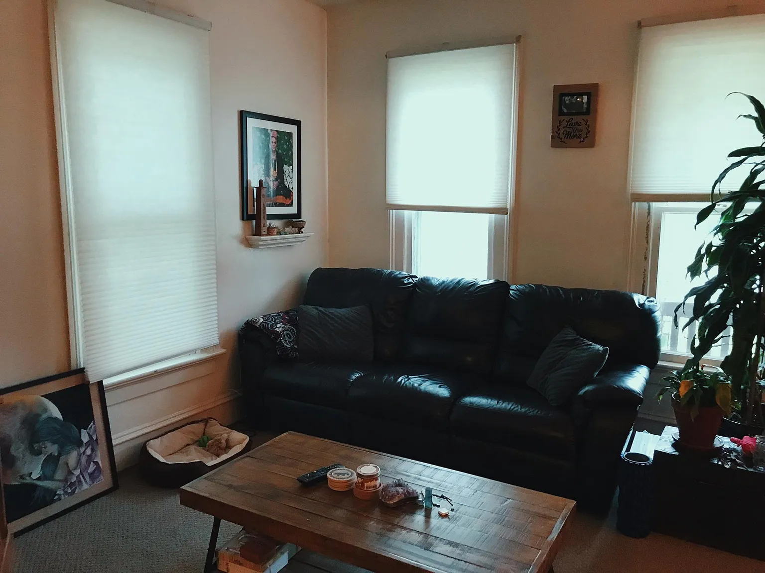 2 bed, 1200 sqft, $1,460 — Photo 4