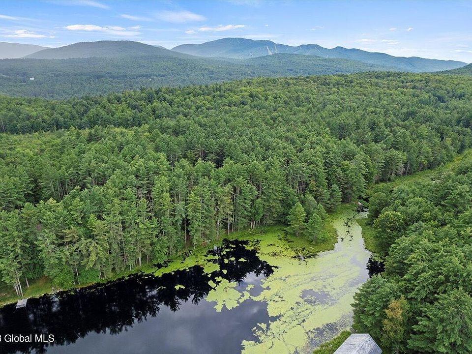 L21 Antler Lake Rd, Wevertown, NY 12886 MLS 202323049 Zillow