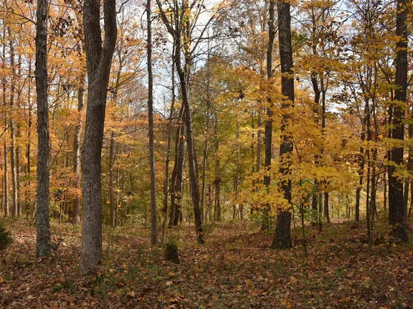 Fox Cliff Rd Lot 17, Leitchfield, KY 42754