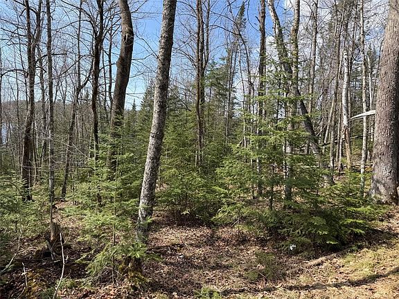 5th image of Long Lake Rd