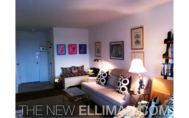 Rented by Douglas Elliman | media 26