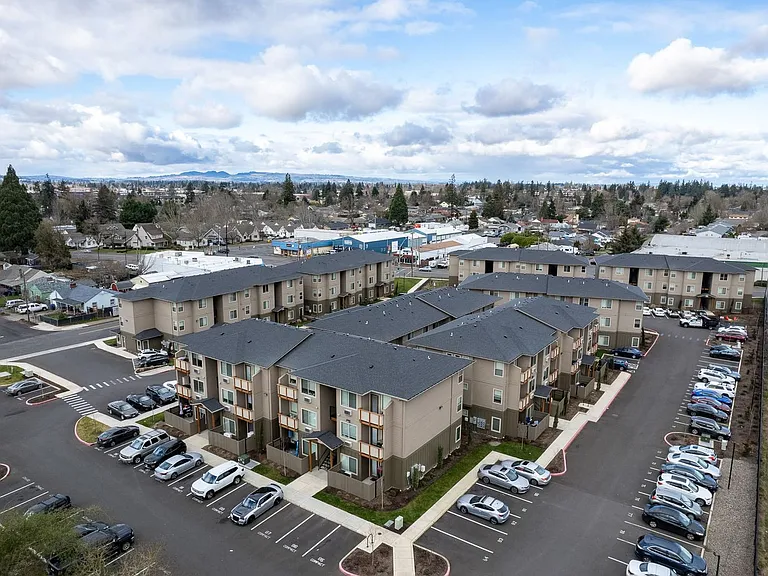 Willow Tree Place — Photo 37