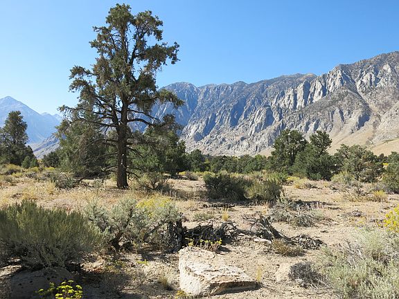4th image of Apn 064-200-006