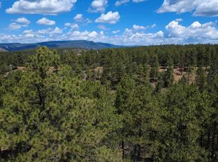 121 Engineer Point, Pagosa Springs, CO 81147