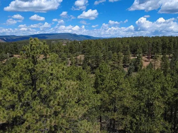 121 Engineer Point, Pagosa Springs, CO 81147