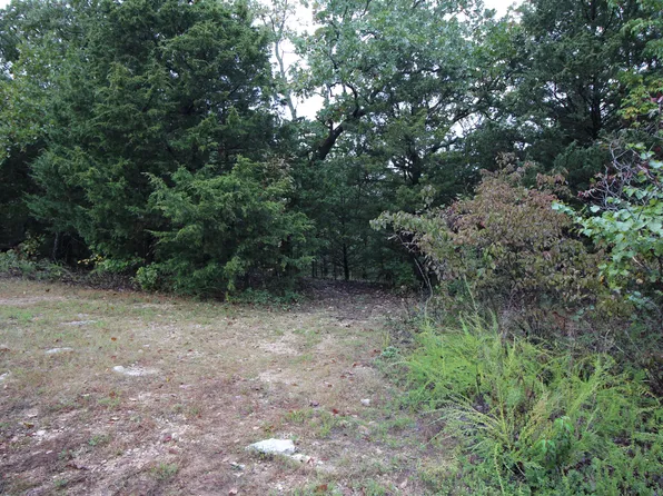 421 Silver Oak Lane, Branson West, MO 65737