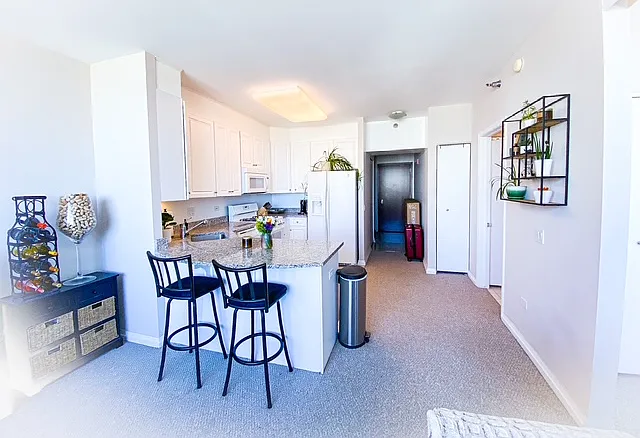 33 W Ontario St #42 — Photo 10