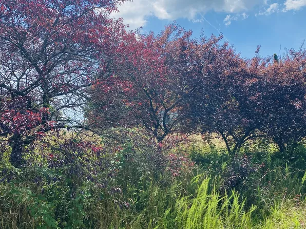 1005 Highpoint Ln, Chapmansboro, TN 37035