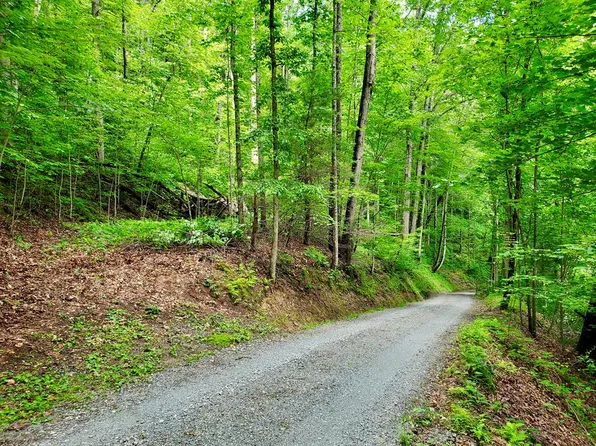 5800 Canada Rd, Tuckasegee, NC 28783