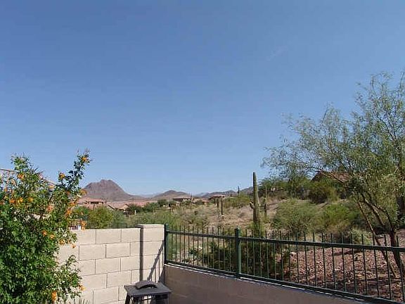 another backyard view