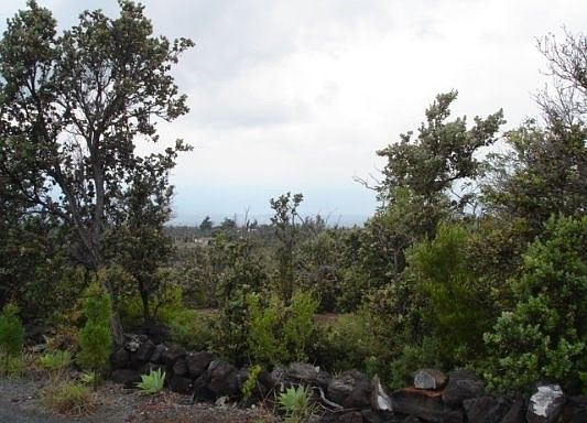 1st image of Pineapple Pkwy Lot 20