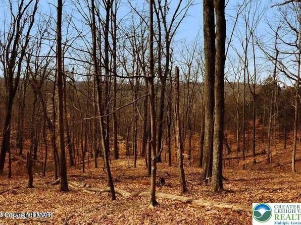 0 Deerfoot Ln, Albrightsville, PA 18210