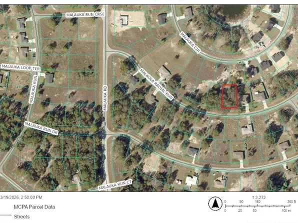 TBS MALAUKA RADIAL RUN LOT 12, OCKLAWAHA, FL 32179