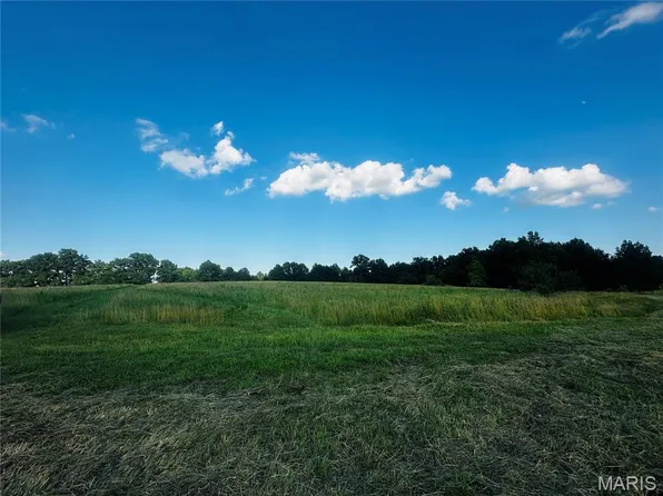 TRACT 1A 935 Audrain Rd, Mexico, MO 65265