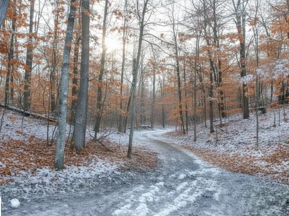 4167 Maple Hill Rd, Grawn, MI 49637