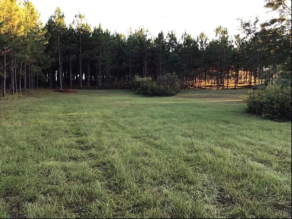 3 bed, 1649 sqft, $1,995 — Photo 4