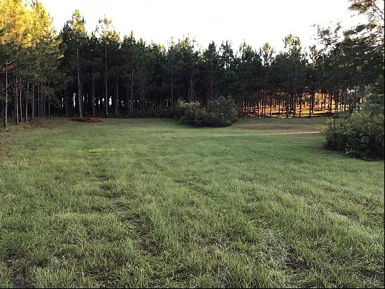 111 Brookwood Dr — Photo 4