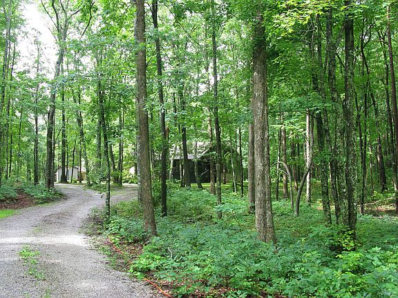 3-4 Acres of Property