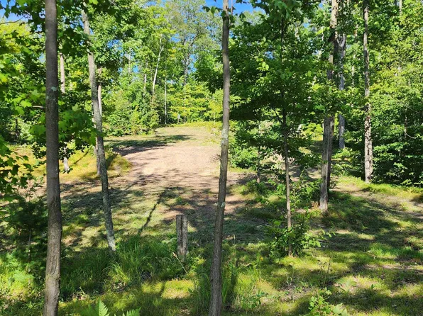 Loon Lake Ln, Elcho, WI 54428